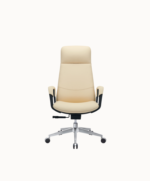 chaise de bureau DEVA web (2)