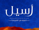 acyl logo website
